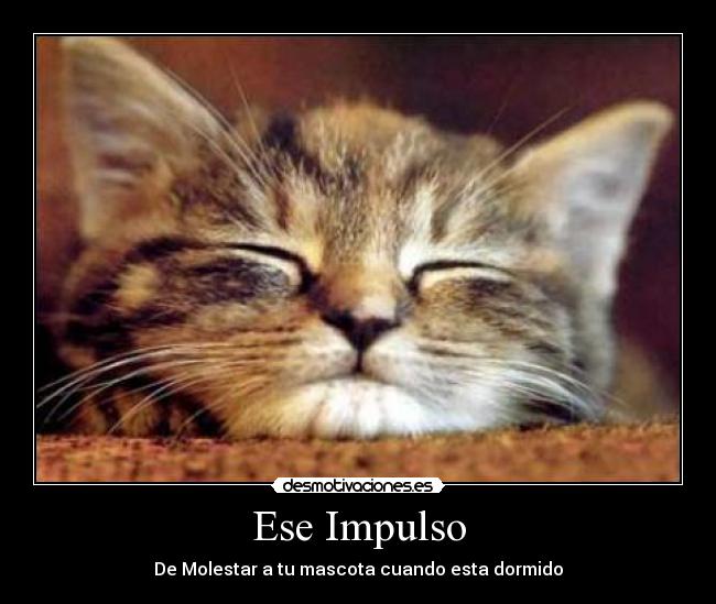 Ese Impulso -