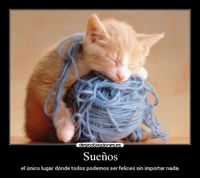 Sueños - el único lugar dónde todos podemos ser felices sin importar nada.