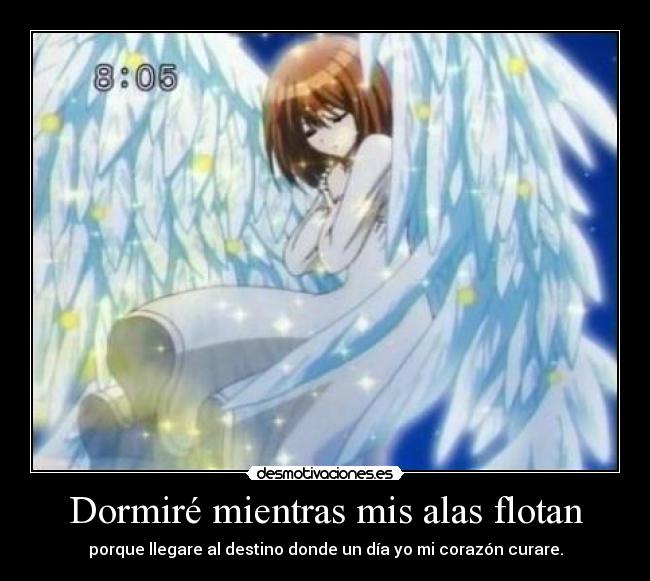Dormiré mientras mis alas flotan - porque llegare al destino donde un día yo mi corazón curare.