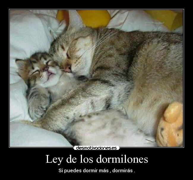 Ley de los dormilones - Si puedes dormir más , dormirás .