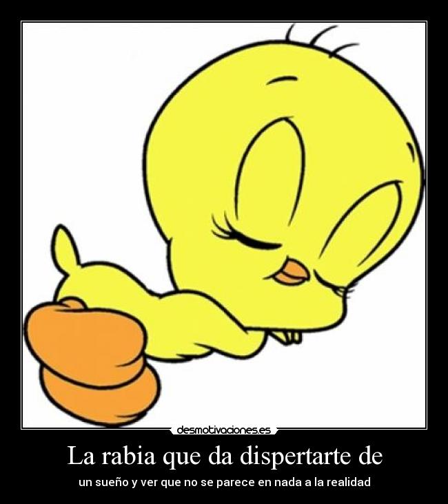 La rabia que da dispertarte de - un sueño y ver que no se parece en nada a la realidad