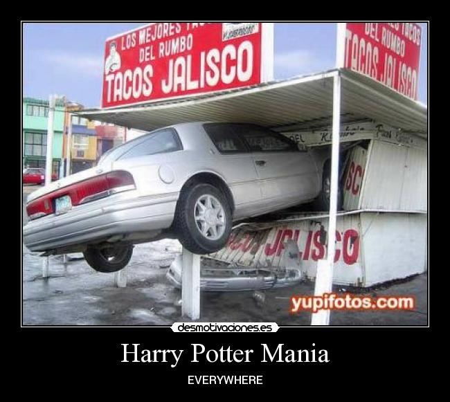 Harry Potter Mania - EVERYWHERE