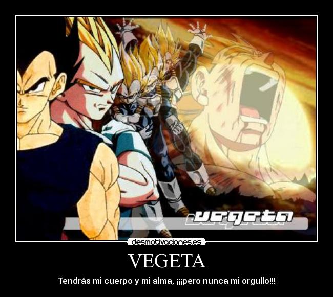 VEGETA - 