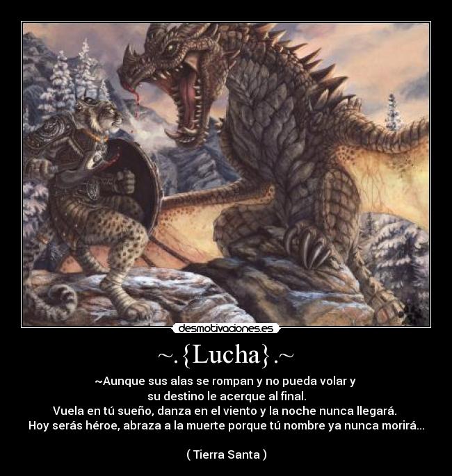 ~.{Lucha}.~ - 