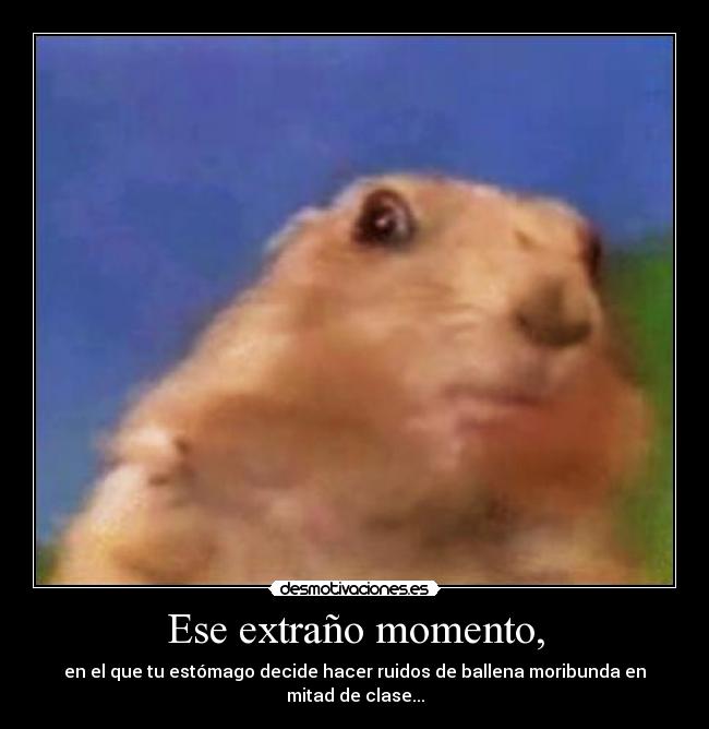 Ese extraño momento, - en el que tu estómago decide hacer ruidos de ballena moribunda en mitad de clase...
