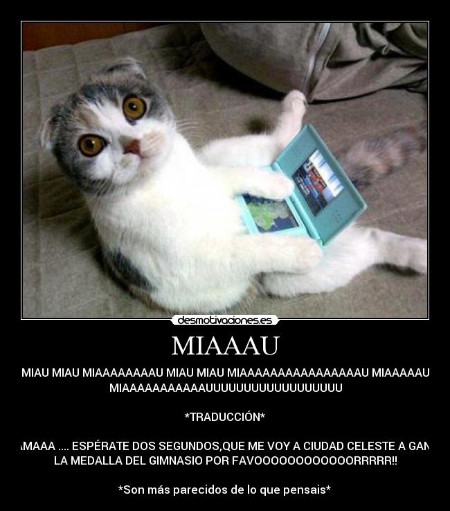 MIAAAU - MIAU MIAU MIAAAAAAAAU MIAU MIAU MIAAAAAAAAAAAAAAAAU MIAAAAAU
MIAAAAAAAAAAAUUUUUUUUUUUUUUUUUU

*TRADUCCIÓN*

MAMAAA .... ESPÉRATE DOS SEGUNDOS,QUE ME VOY A CIUDAD CELESTE A GANAR
LA MEDALLA DEL GIMNASIO POR FAVOOOOOOOOOOOORRRRR!!

*Son más parecidos de lo que pensais*