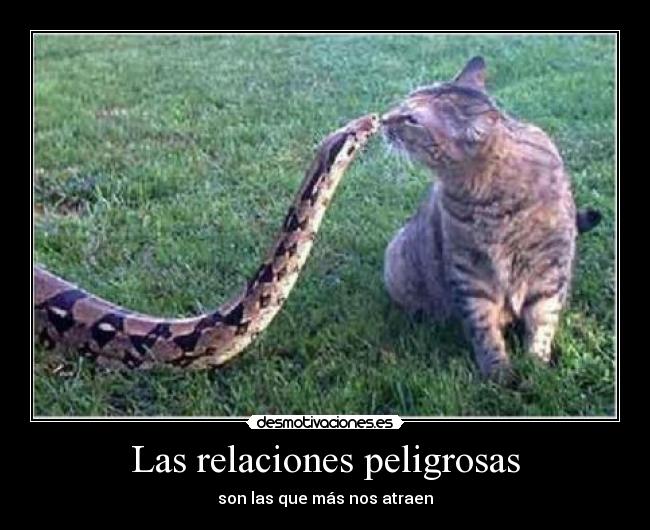 Las relaciones peligrosas -