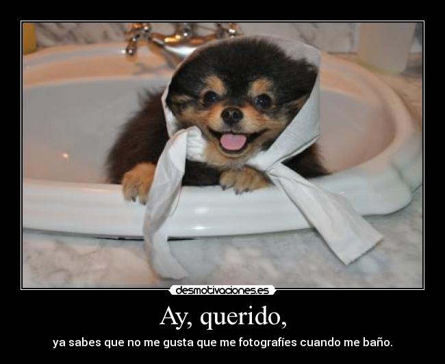 Ay, querido, - ya sabes que no me gusta que me fotografíes cuando me baño.