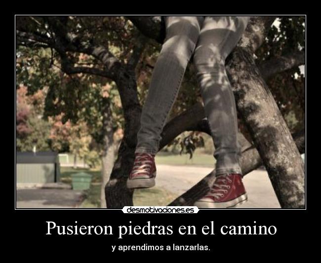 Pusieron piedras en el camino -