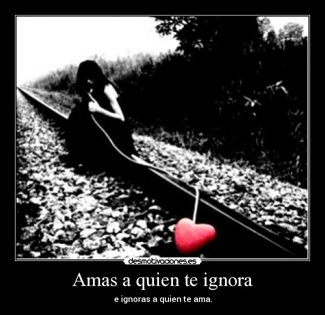 carteles ignorancia desmotivaciones