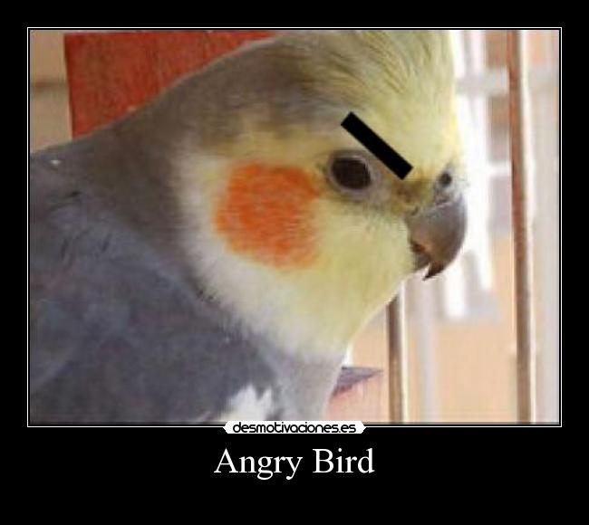 Angry Bird -
