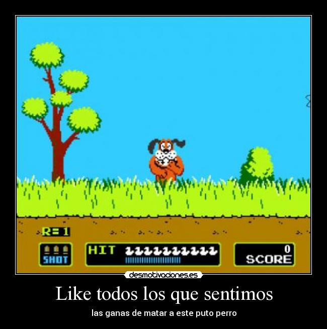 Like todos los que sentimos - 