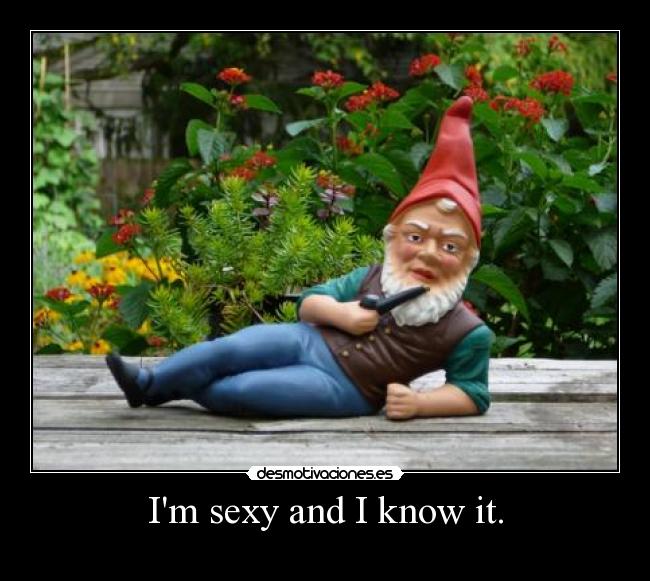 Im sexy and I know it. - 