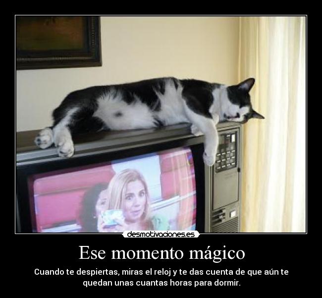 Ese momento mágico - 