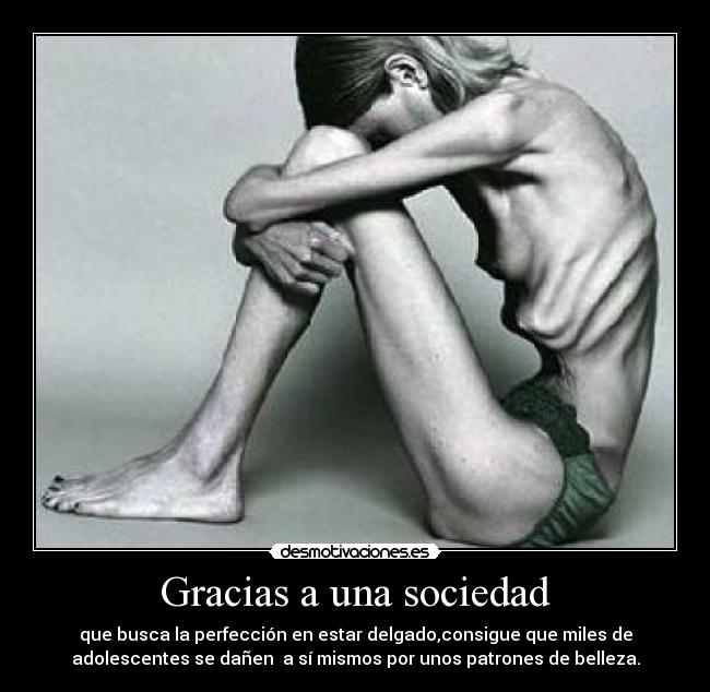Gracias a una sociedad - 