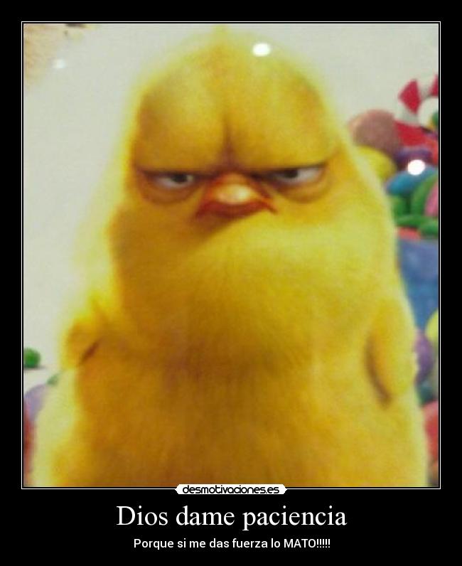 Dios dame paciencia - Porque si me das fuerza lo MATO!!!!!