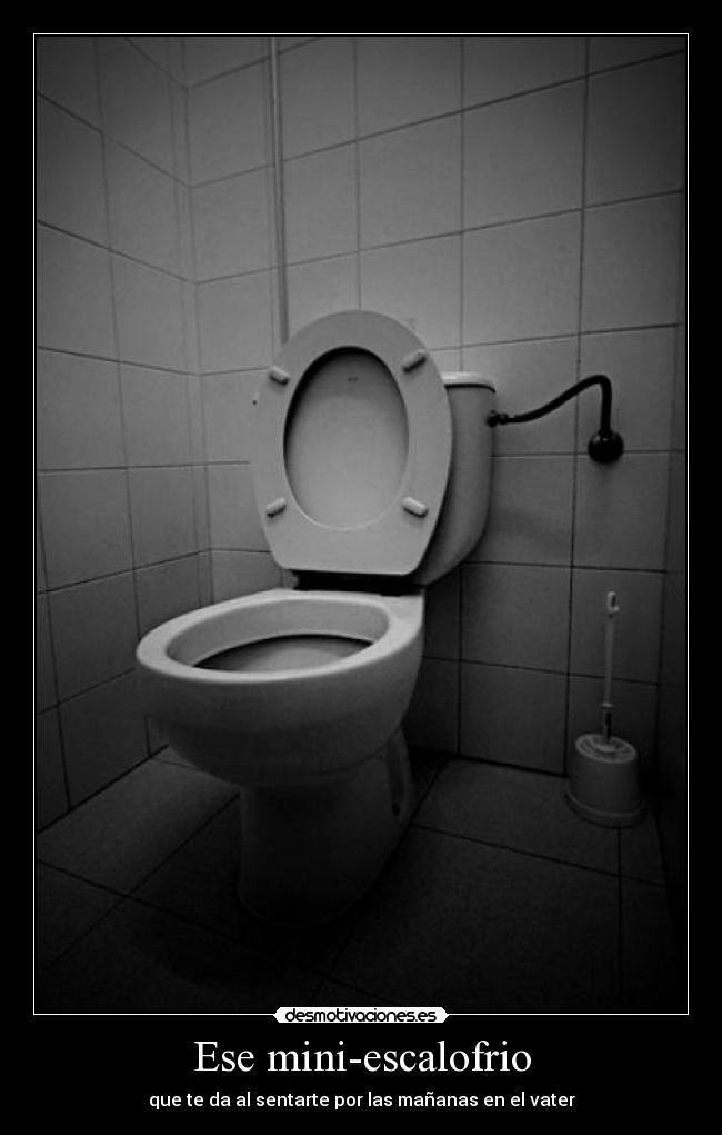 Ese mini-escalofrio - que te da al sentarte por las mañanas en el vater