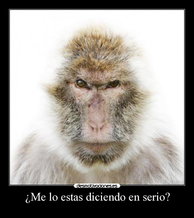 ¿Me lo estas diciendo en serio? -