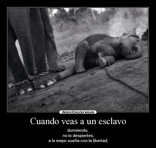 carteles jmar desmotivaciones