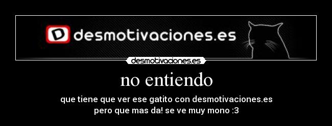 no entiendo -
