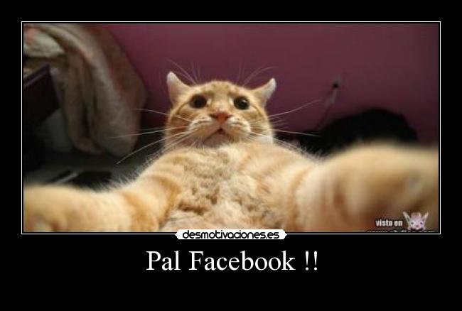 Pal Facebook !! - 