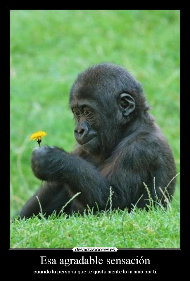 Esa agradable sensación -