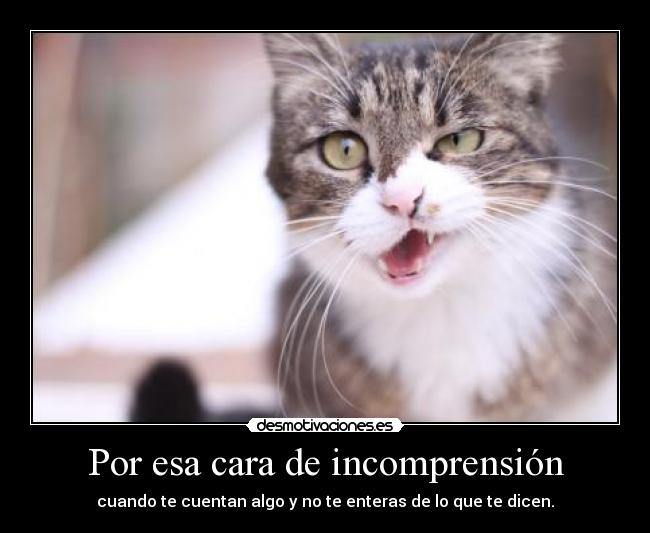 Por esa cara de incomprensión -