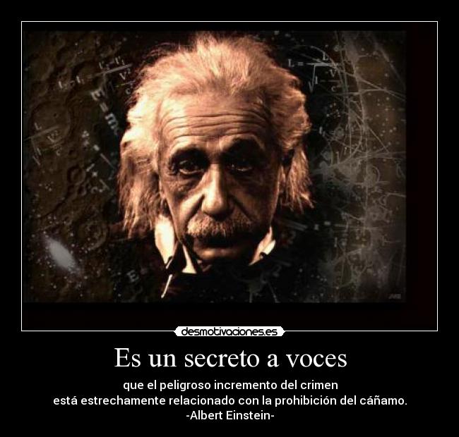 carteles thanatoslothar cannabis albert einstein desmotivaciones