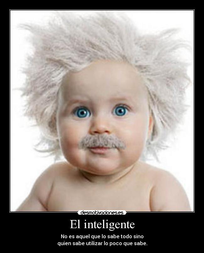 El inteligente - No es aquel que lo sabe todo sino
quien sabe utilizar lo poco que sabe.