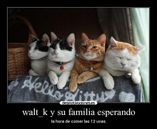 carteles familia walt familia desmotivaciones