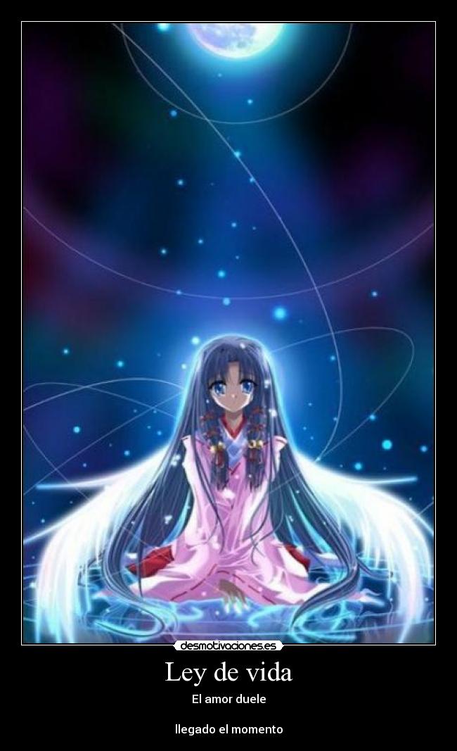 Ley de vida -