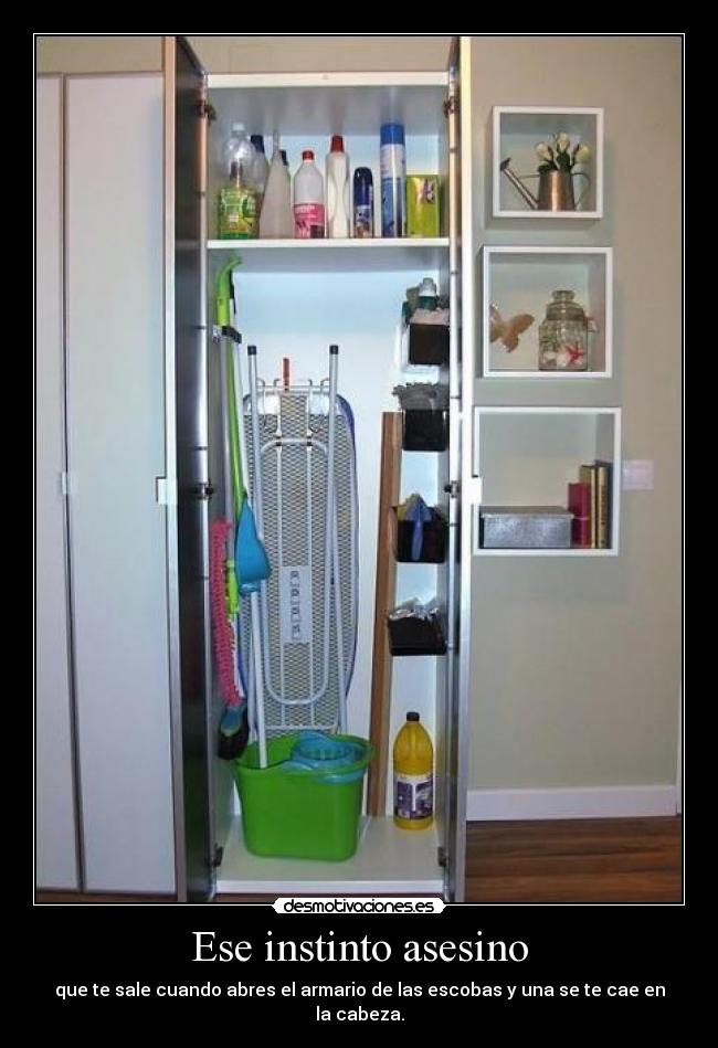 Ese instinto asesino - que te sale cuando abres el armario de las escobas y una se te cae en la cabeza.