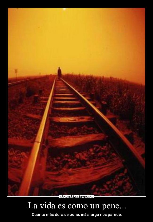 La vida es como un pene... - Cuanto más dura se pone, más larga nos parece.