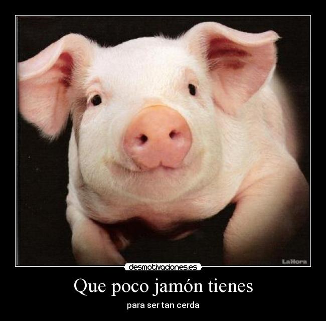 Que poco jamón tienes - para ser tan cerda