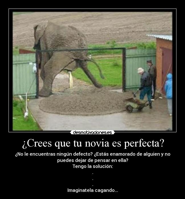 ¿Crees que tu novia es perfecta? -