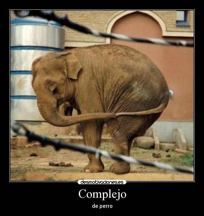 carteles mierdo cartel desmotivaciones