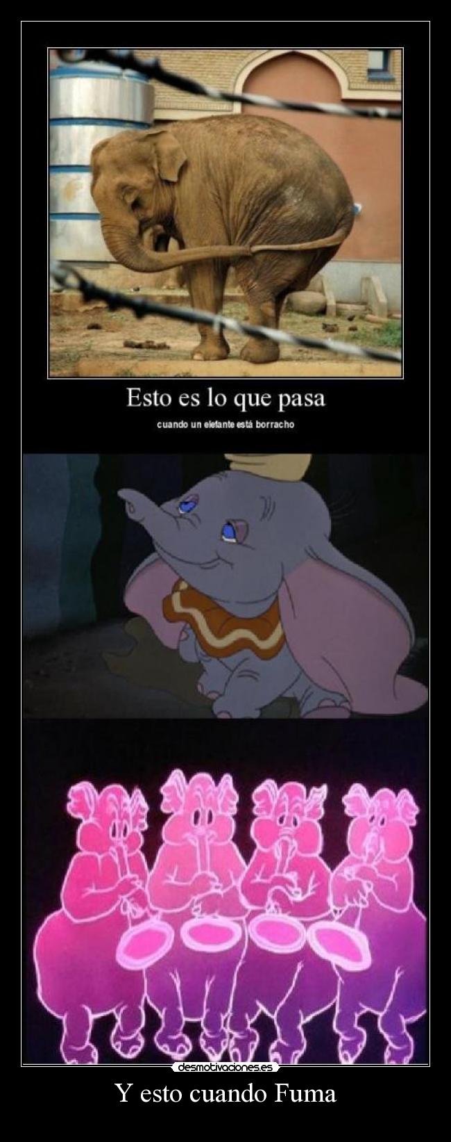 Y esto cuando Fuma -