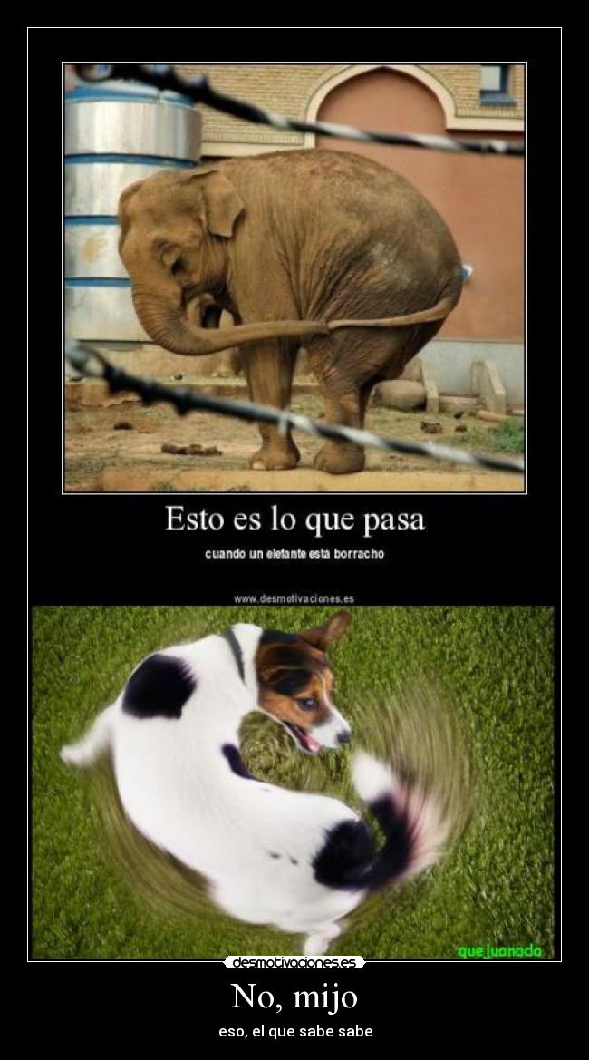 No, mijo - eso, el que sabe sabe