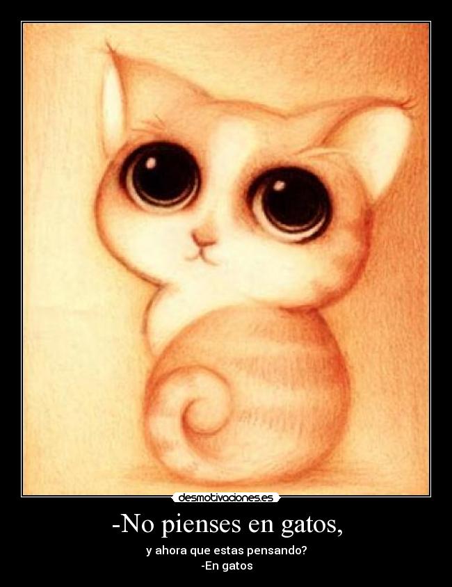 -No pienses en gatos, - y ahora que estas pensando?
-En gatos