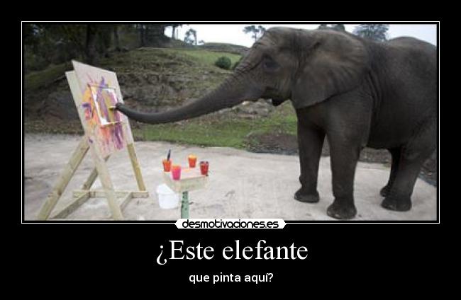 ¿Este elefante - 