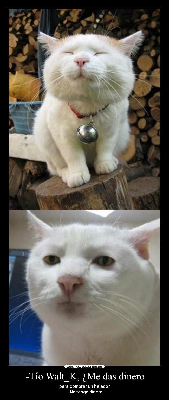 -Tío Walt_K, ¿Me das dinero -