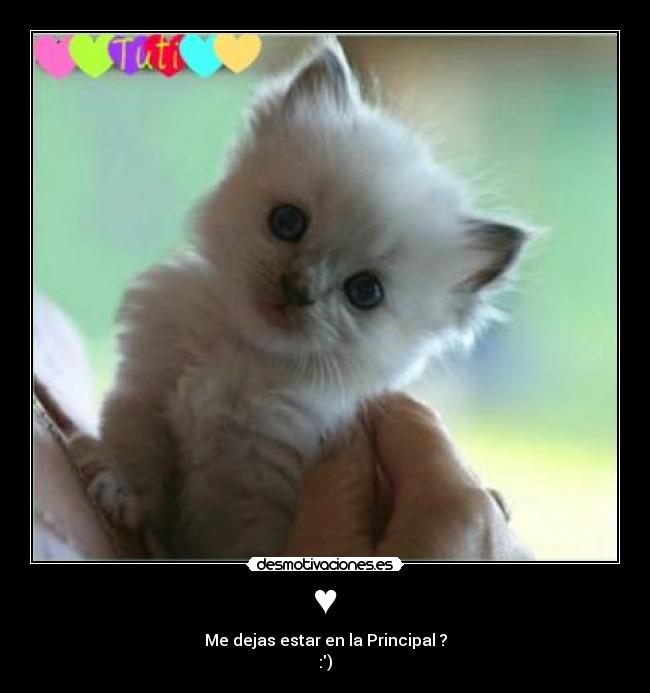 carteles josuebl desmotivaciones