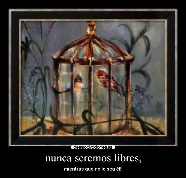 carteles pajaro canta hasta morir libertad desmotivaciones