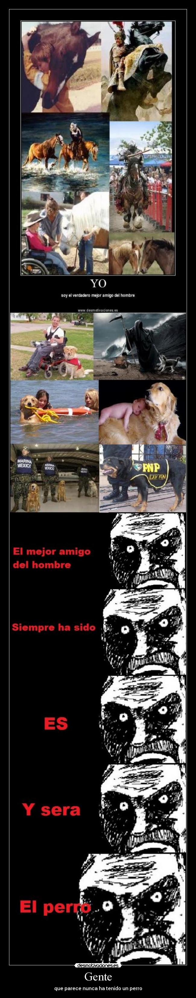 Gente - que parece nunca ha tenido un perro