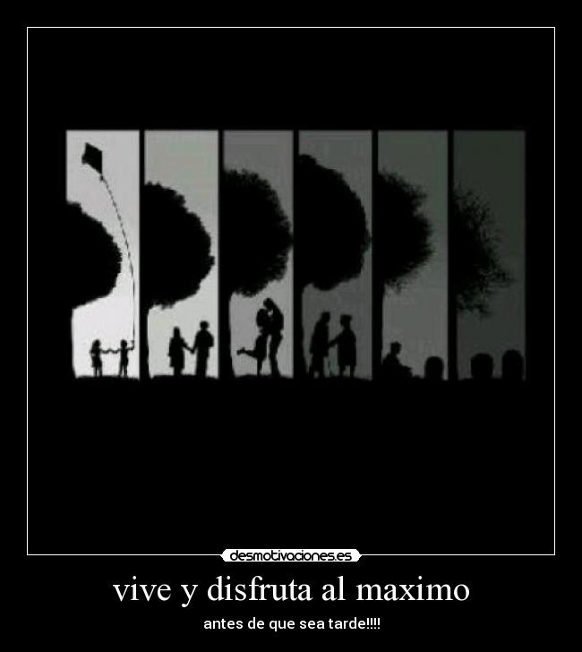 carteles vive disfruta maximo desmotivaciones