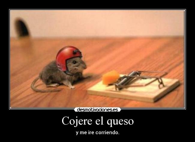 Cojere el queso - y me ire corriendo.