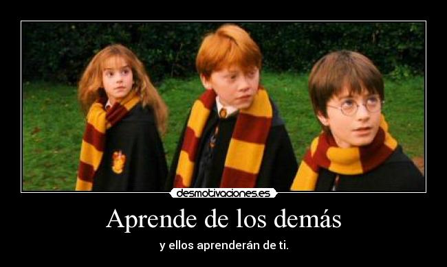 Aprende de los demás - y ellos aprenderán de ti.