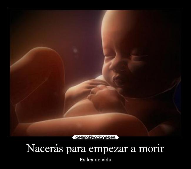 Nacerás para empezar a morir -