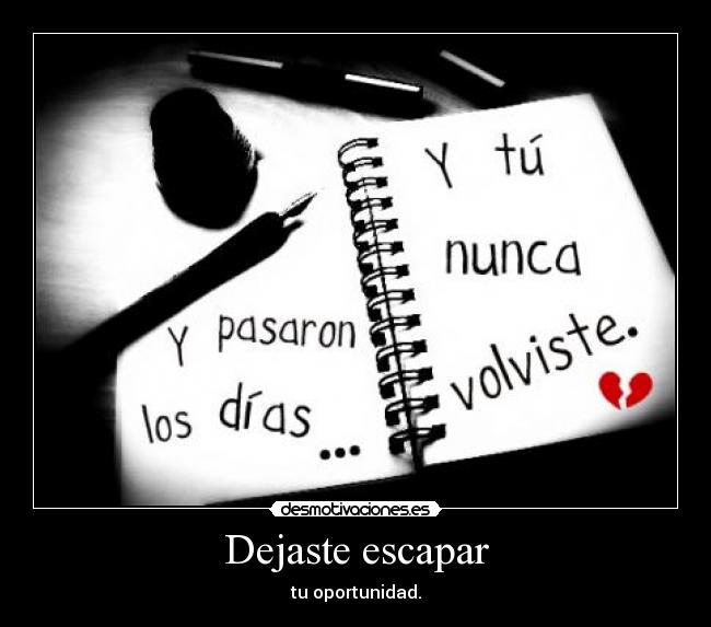 Dejaste escapar - tu oportunidad.