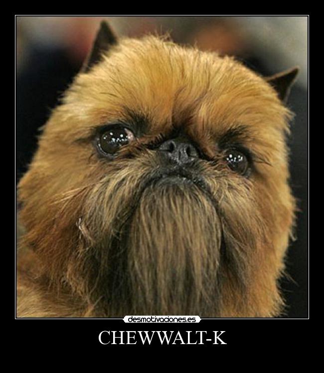 CHEWWALT-K -